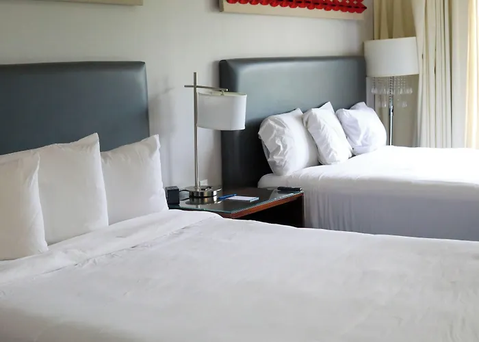 Hotel Illini & 3*